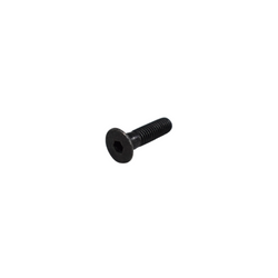TORNILLO 5X20 PARABRISAS PULSAR NS160 NEGRO