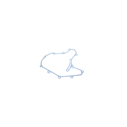 JUNTA ESTATOR PULSAR 200NS/DUKE 200